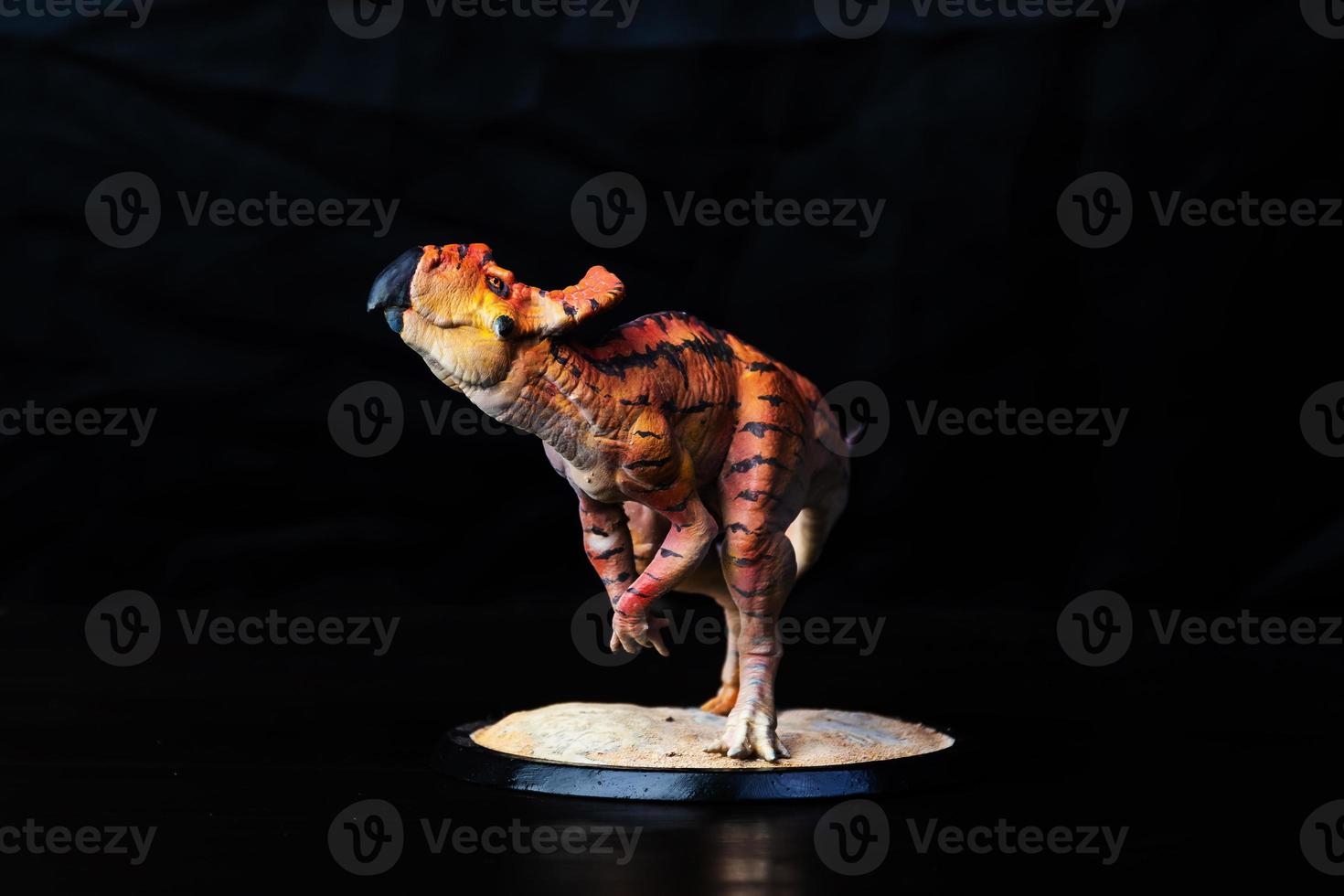 Protoceratops  , dinosaur on black background photo
