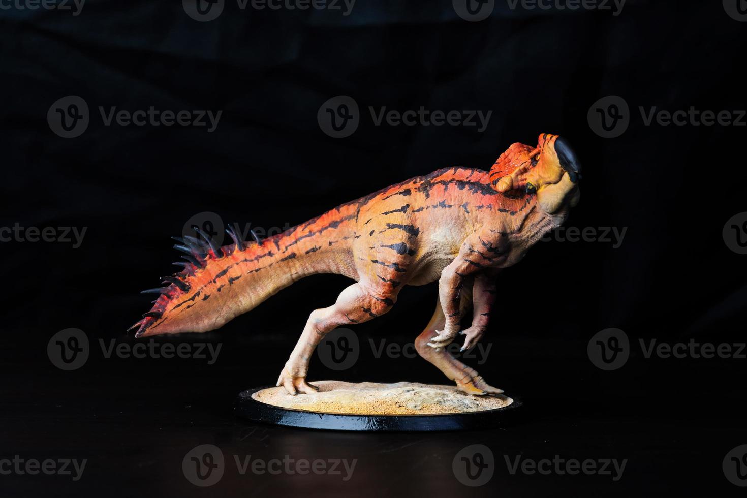 Protoceratops  , dinosaur on black background photo