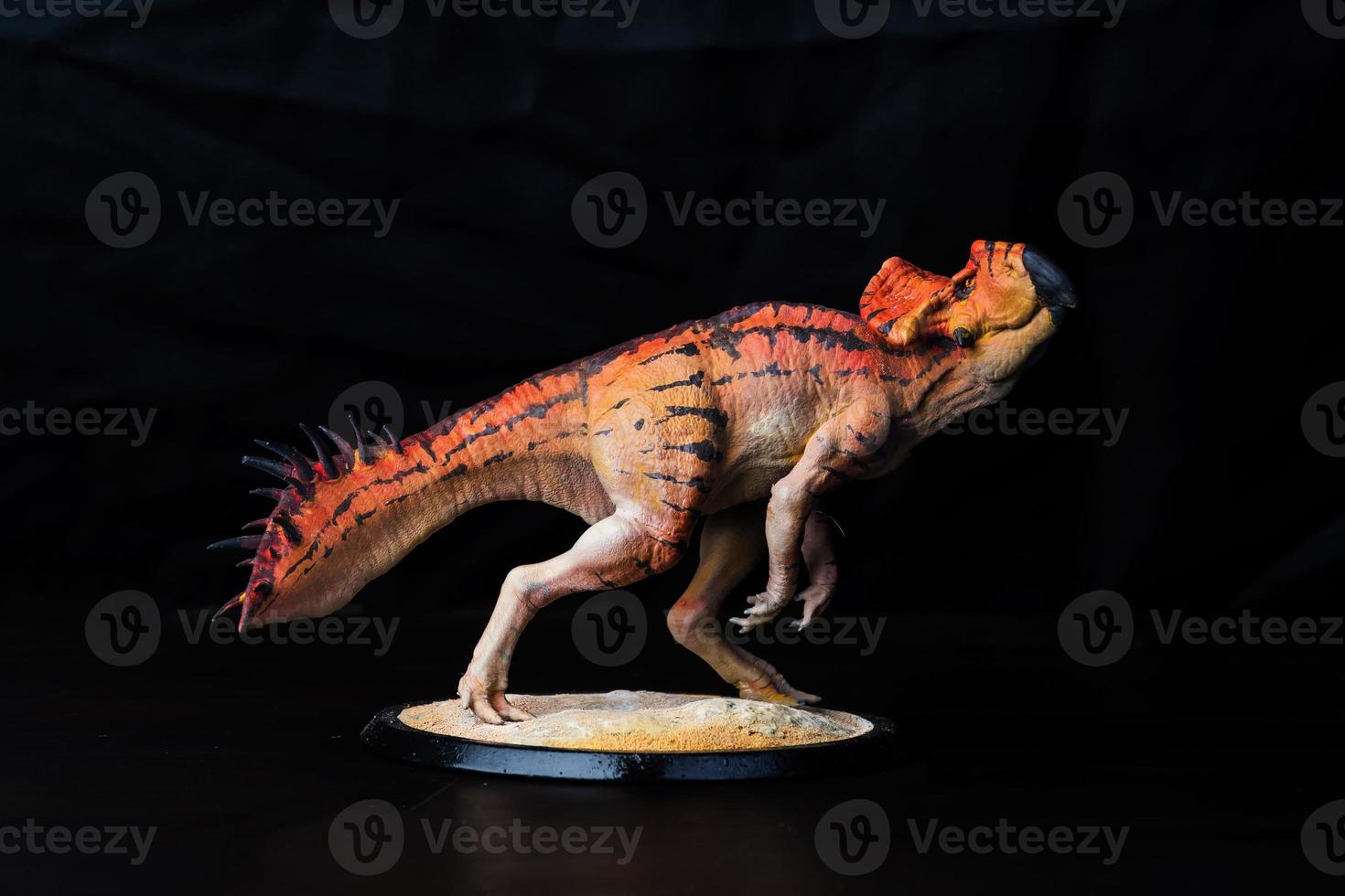 Protoceratops  , dinosaur on black background photo