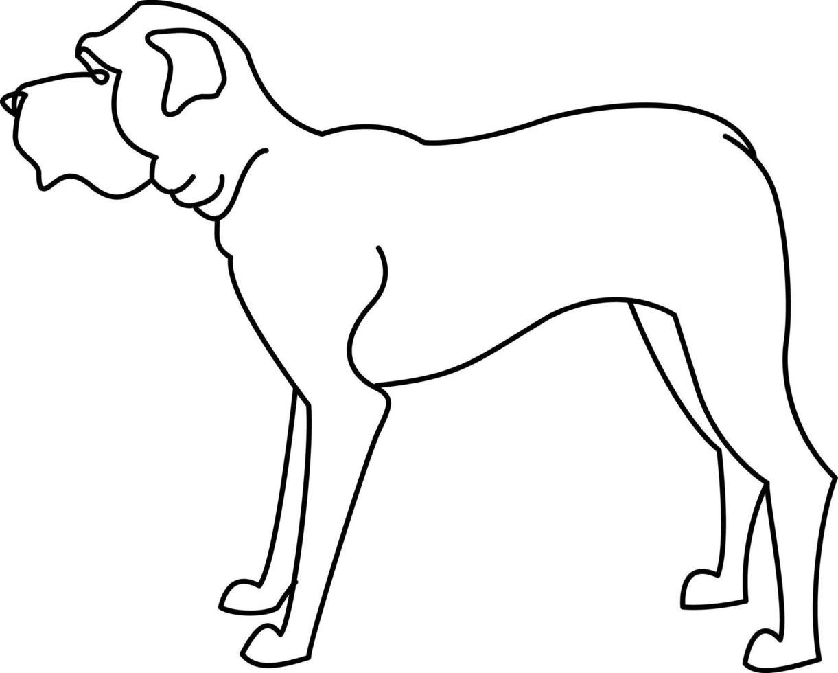 English Mastiff Line 19886542 Vector Art At Vecteezy english-mastiff-line-19886542-vector-art-at-vecteezy
