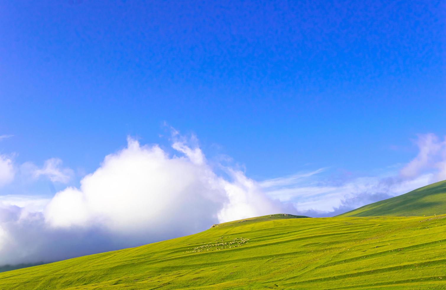 high mountains with sheep photo