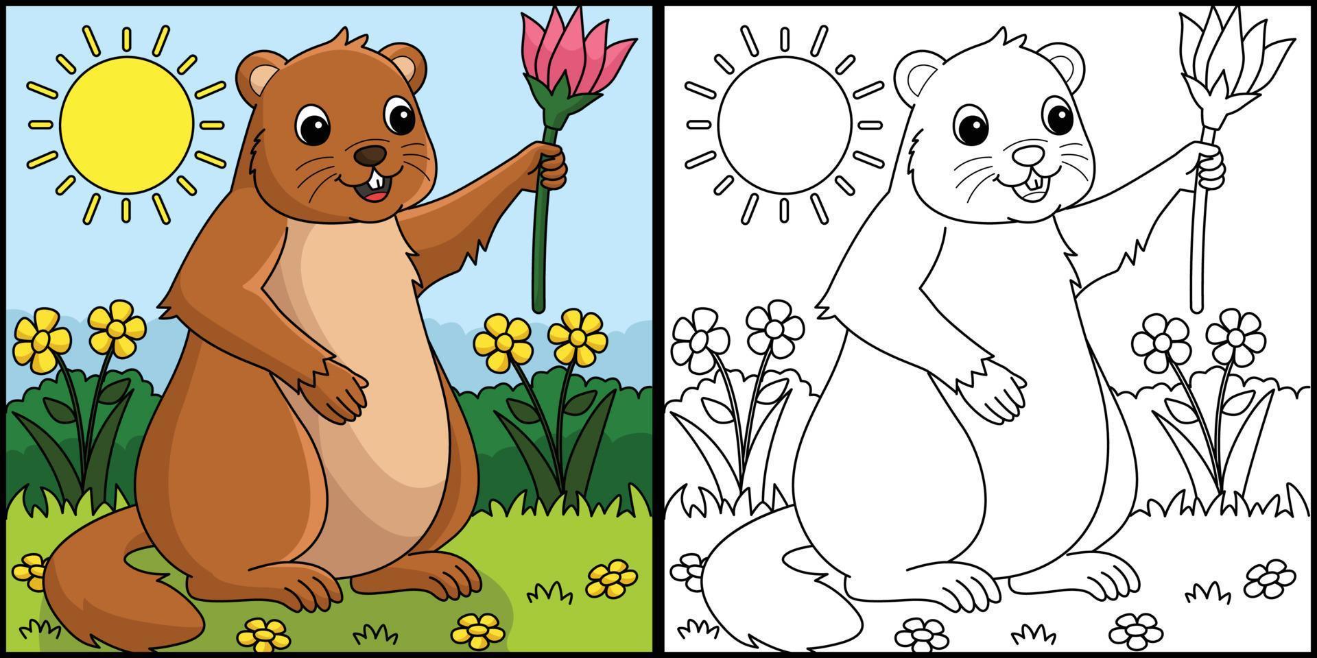 Groundhog Holding Flower Coloring Illustration vector