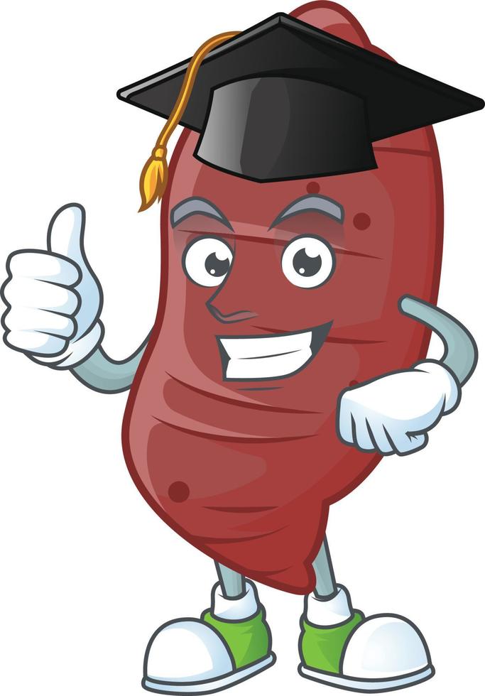 Sweet potatoes cartoon character style vector