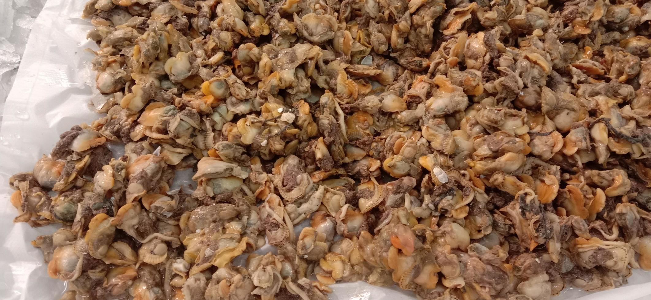 pile of shells in the supermarket ready for sale photo