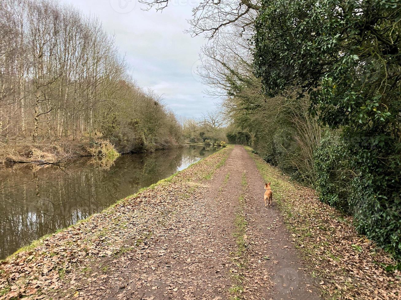 A view of the Canal near Whitchurch in Shropshire photo