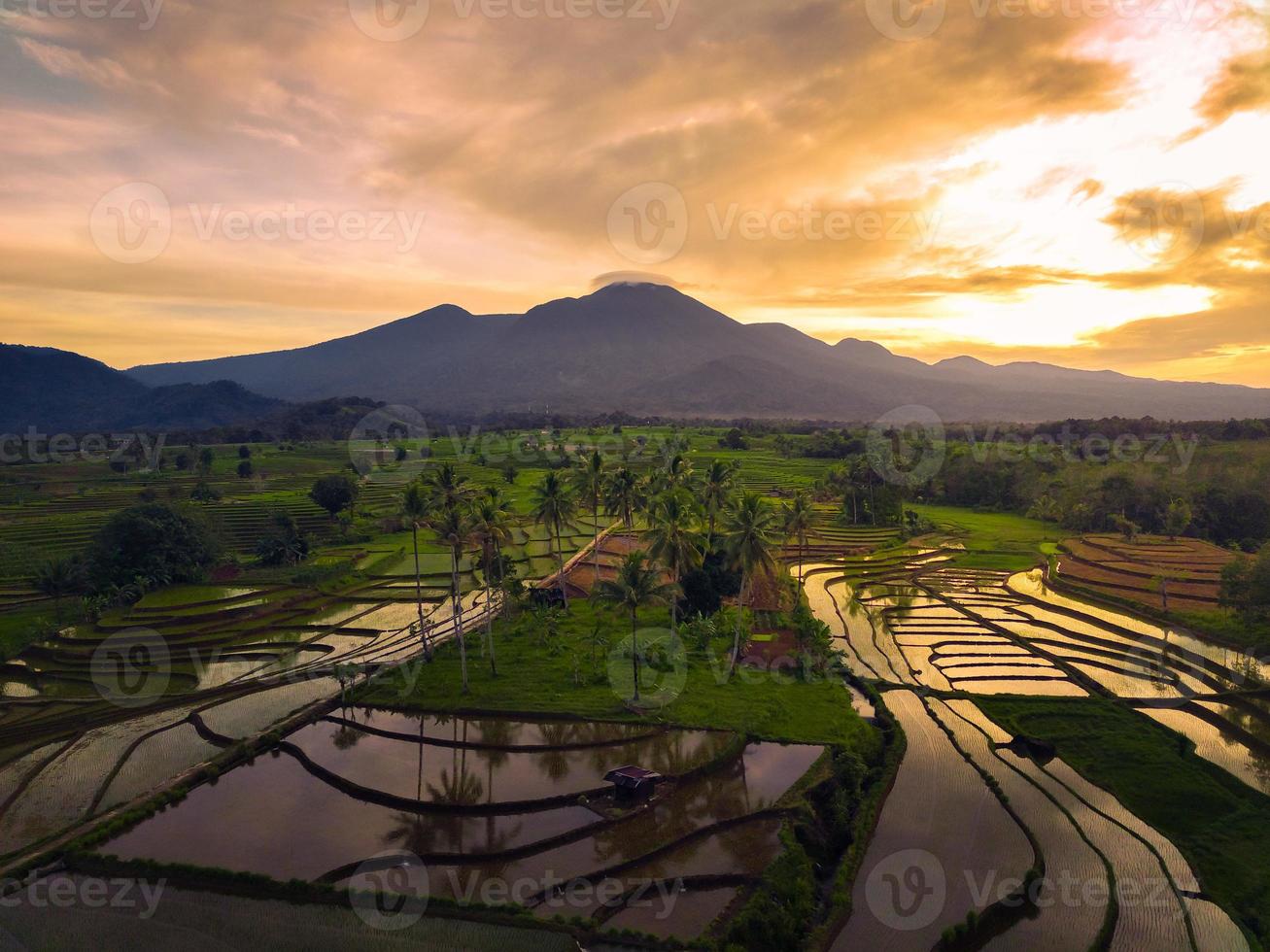 Beautiful morning view indonesia Panorama Landscape paddy fields with beauty color and sky natural light photo