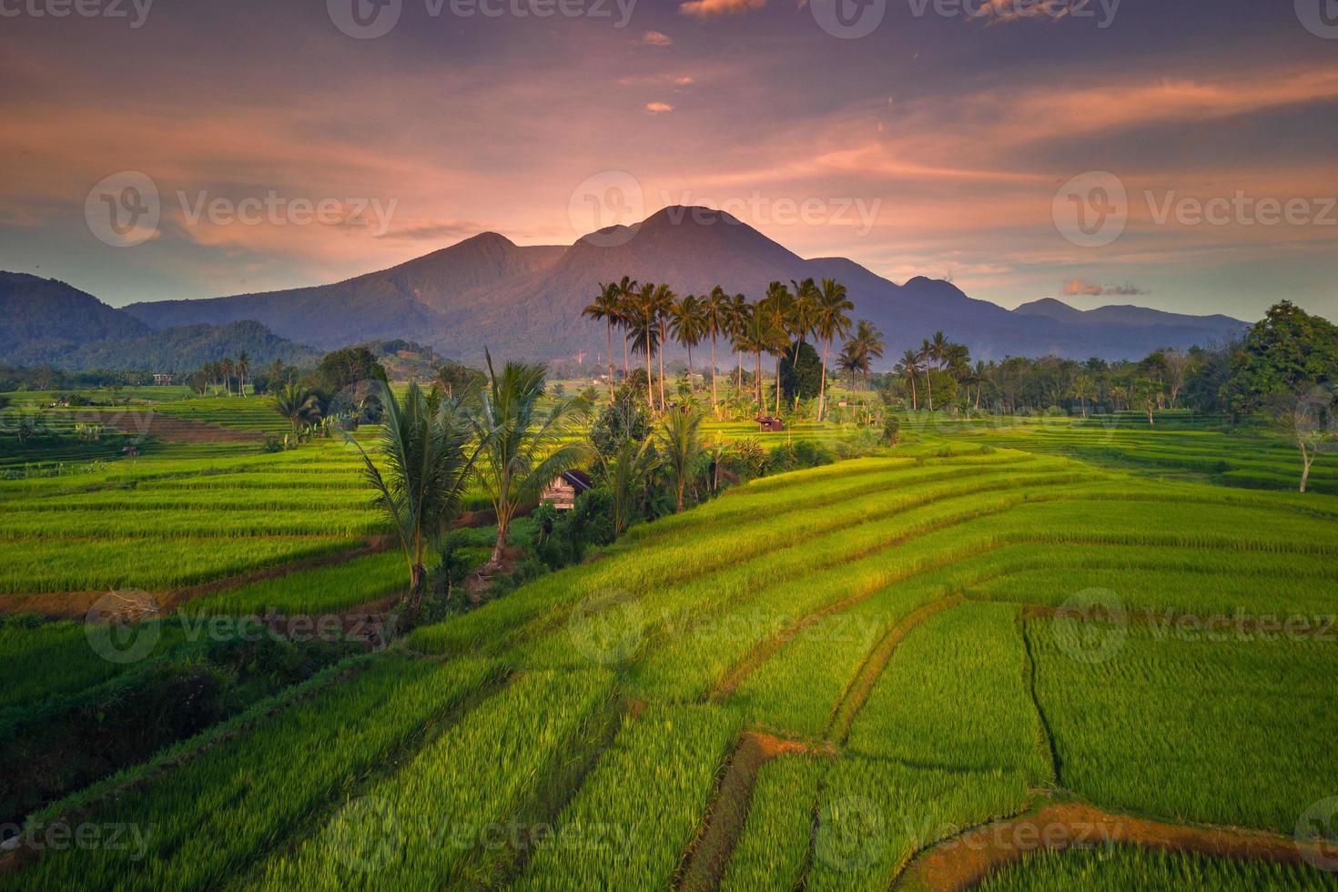 Beautiful morning view indonesia Panorama Landscape paddy fields with beauty color and sky natural light photo