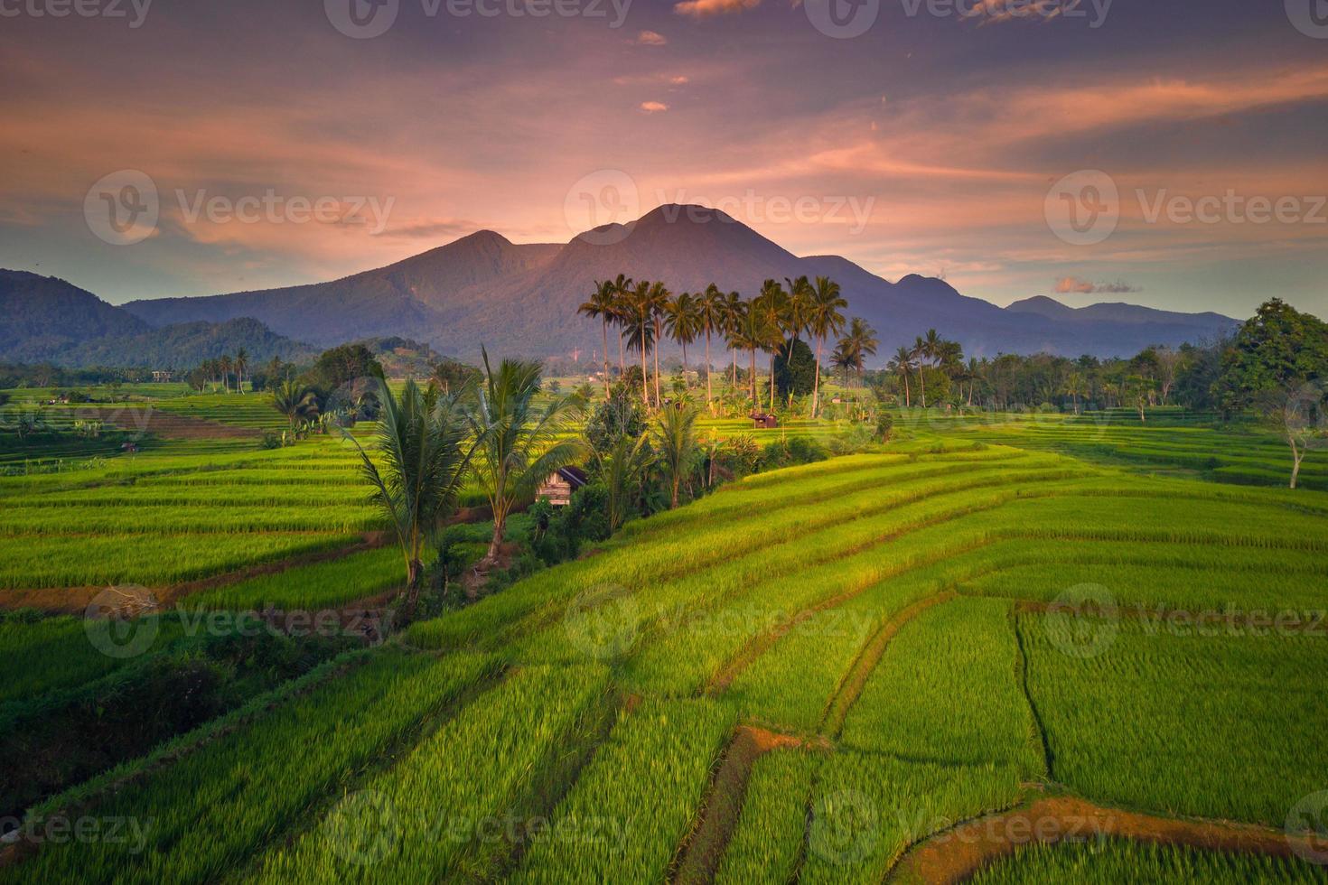 hermosa vista de la mañana indonesia panorama paisaje arrozales con color de belleza y luz natural del cielo foto