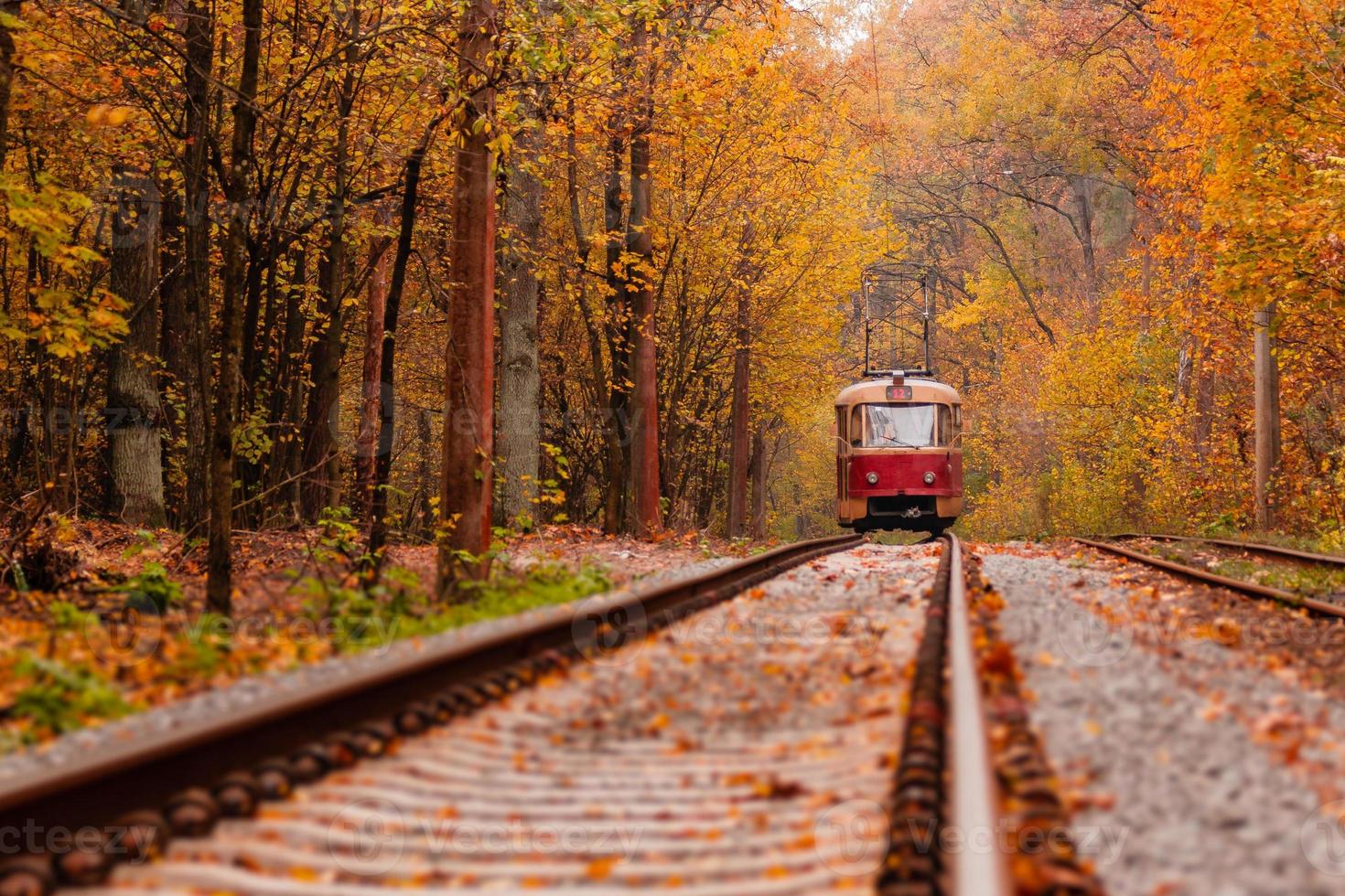autumn forest among which goes a strange tram photo