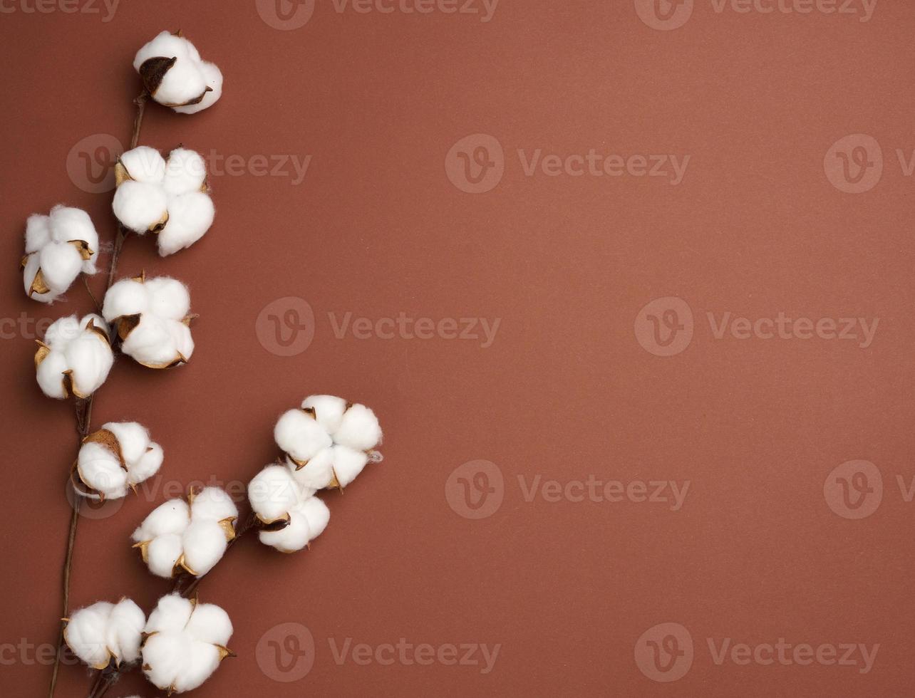 Cotton flower on a brown paper background, overhead. Minimalism flat lay composition photo