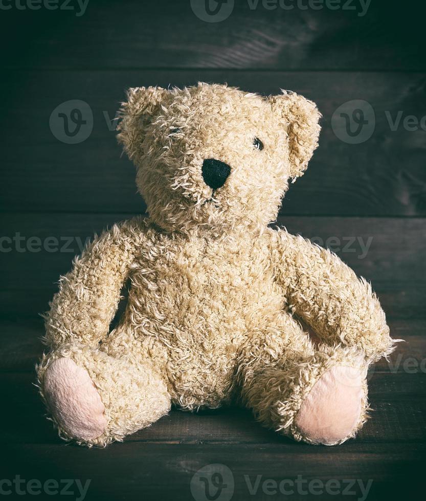 brown soft teddy bear sit photo