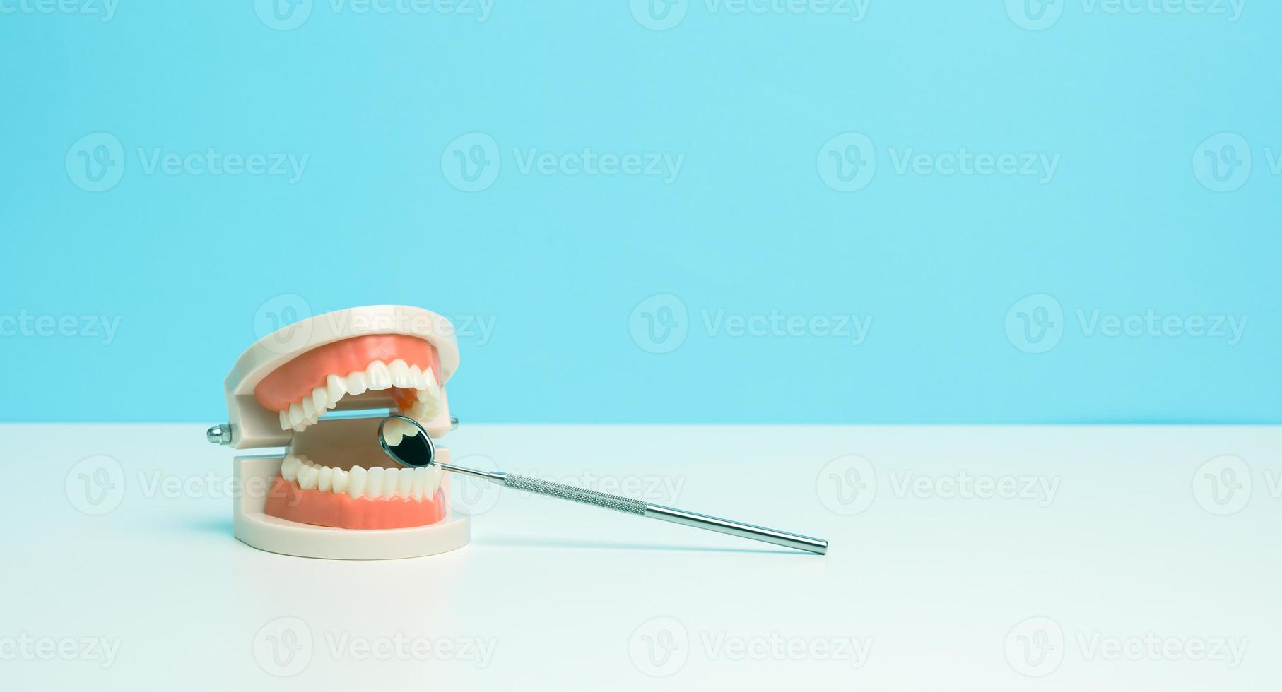 plastic model of human jaw with white even teeth and a medical examination mirror on a white table photo