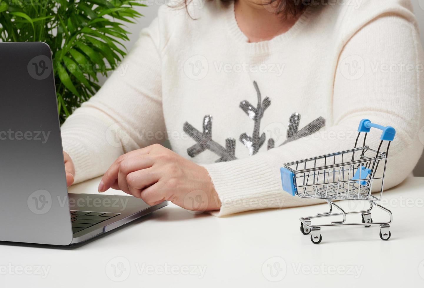 un mujer en un blanco suéter se sienta y trabajos a un ordenador portátil. foto