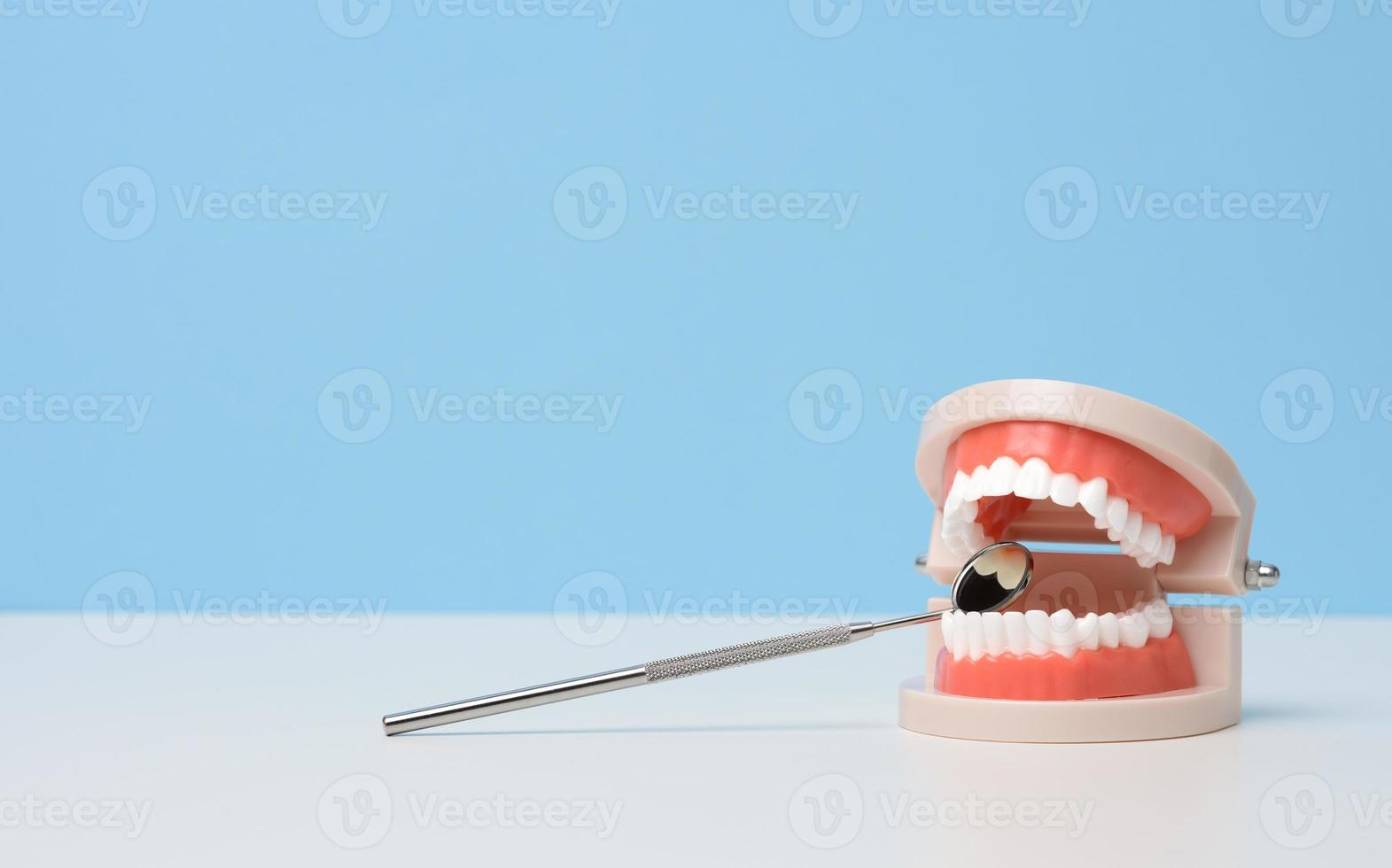 plastic model of human jaw with white even teeth and a medical examination mirror on a white table photo