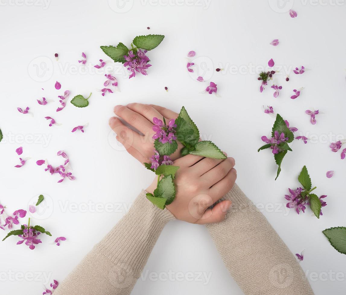two hands of a young girl with smooth skin photo