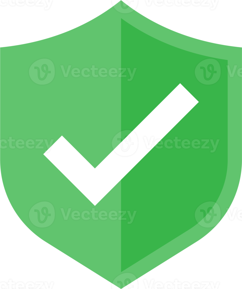 verde escudo e marca de verificação ícone. png
