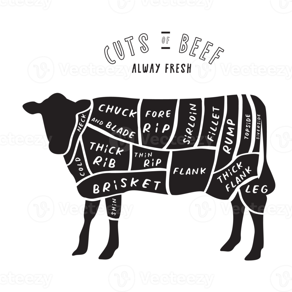 The Butcher's cut Guide of BEEF png