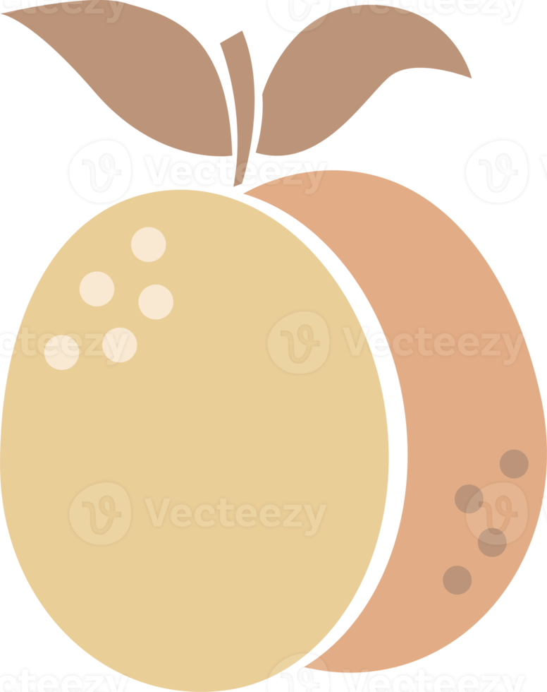 Boho design element. PNG with transparent background
