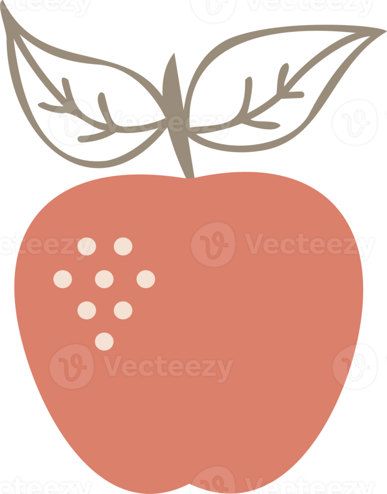 Boho design element. PNG with transparent background