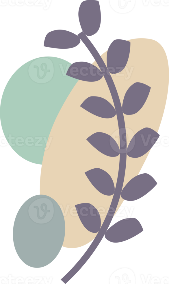 Boho design element. PNG with transparent background