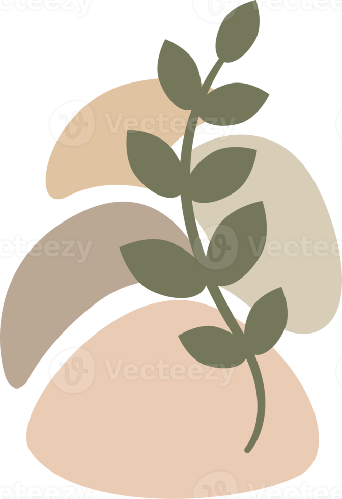 Boho design element. PNG with transparent background