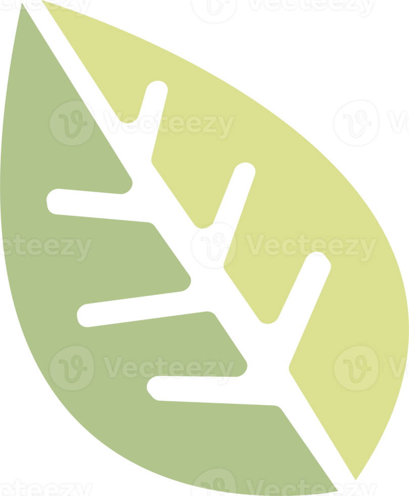 Boho design element. PNG with transparent background