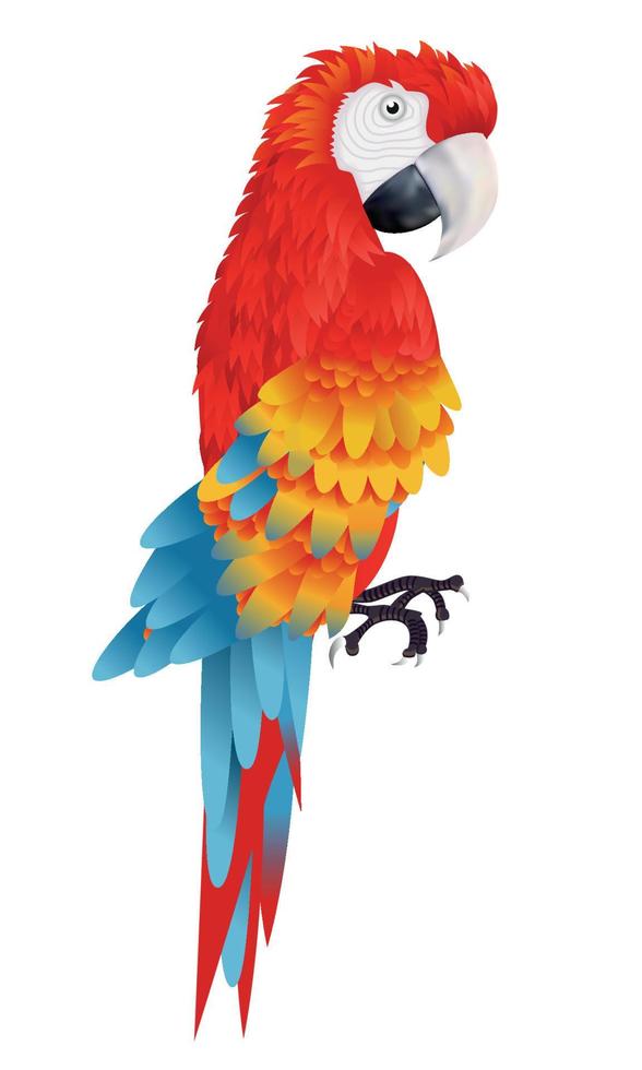 A bright macaw parrot isolated on white background vector illustration