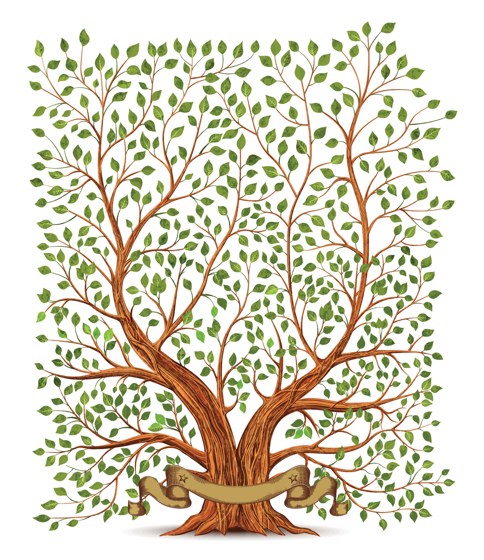 Old vintage tree vector illustration 19900258 Vector Art at Vecteezy