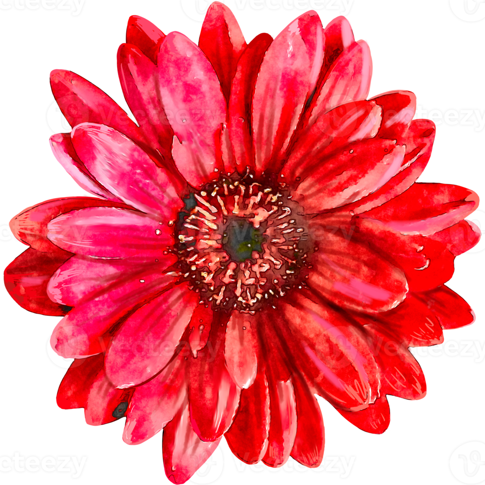 coloré épanouissement fleur aquarelle illustration png