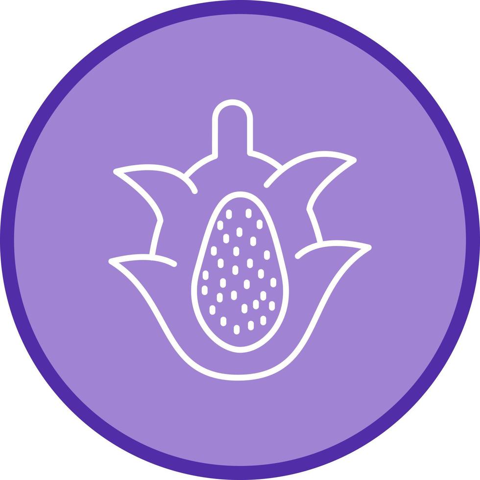 Dragon Fruit Vector Icon