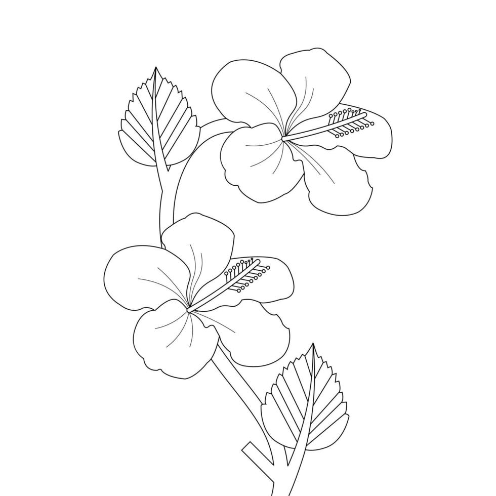 Hibiscus Flower Coloring Page vector