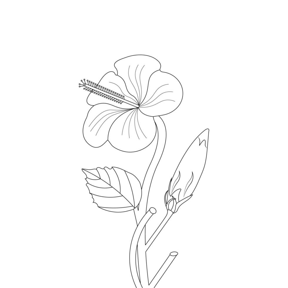 Hibiscus Flower Coloring Page And Book illustration Line Art vector