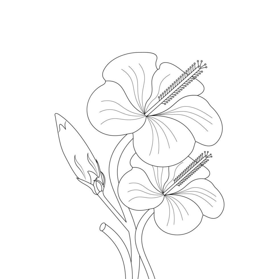 Hibiscus Flower Coloring Page And Book illustration Line Art vector