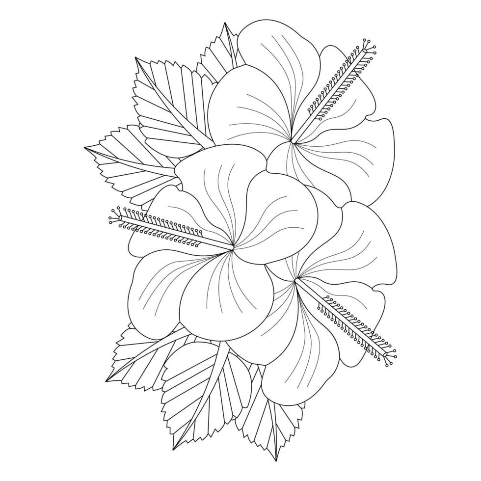 Hibiscus Flower Coloring Page vector