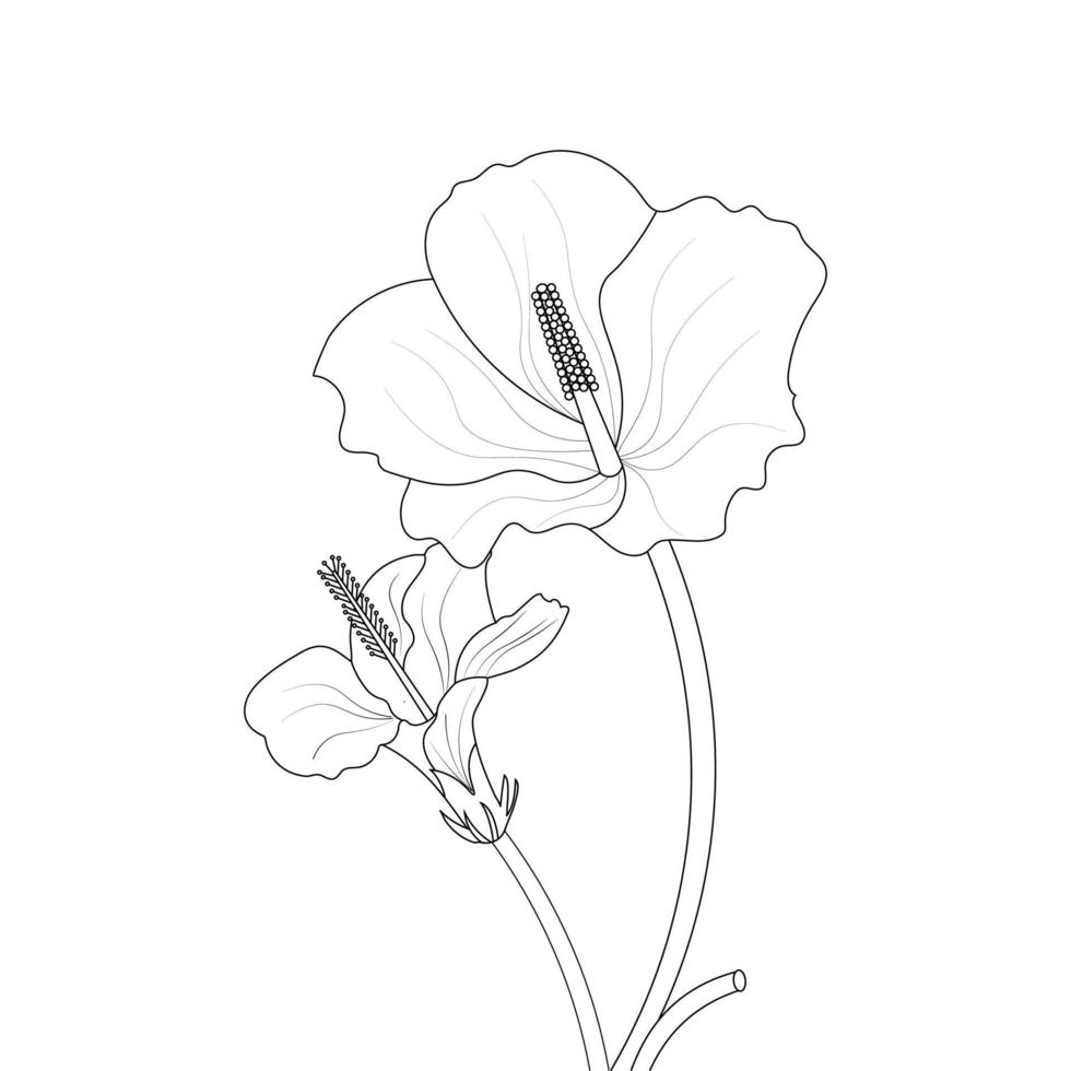 hibisco flor colorante página y libro ilustración línea Arte vector