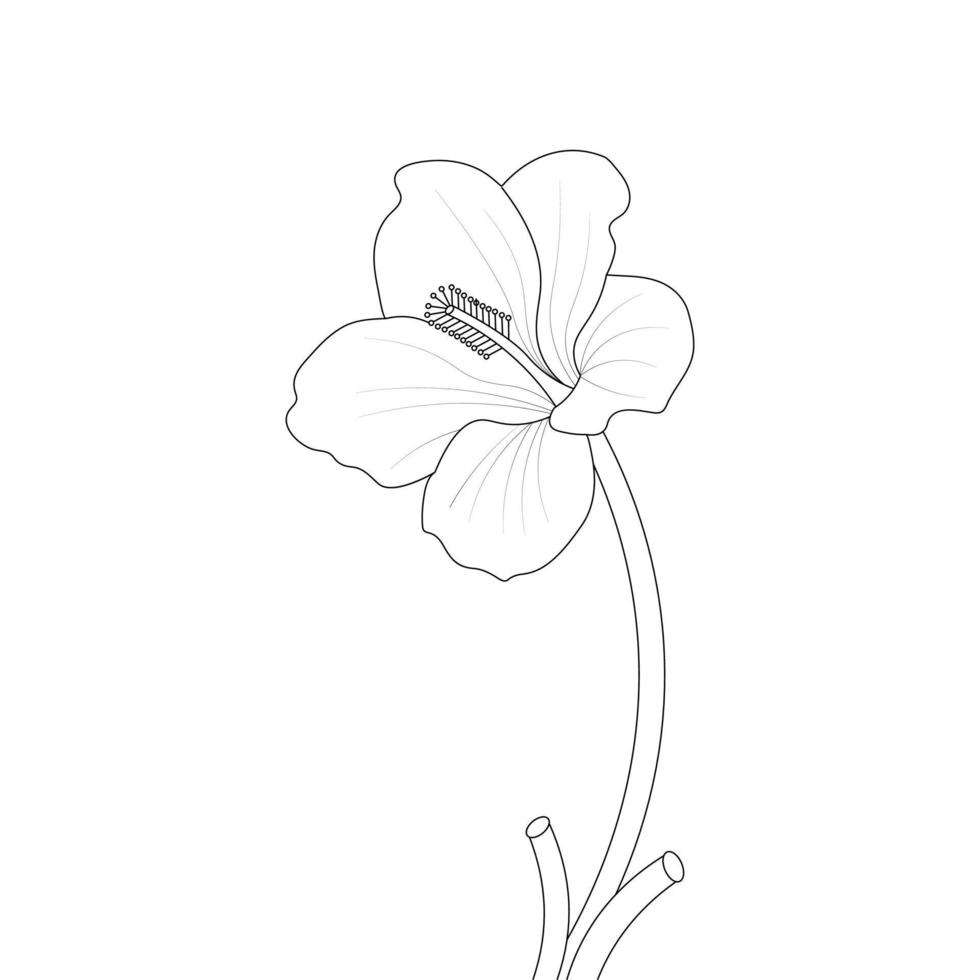 Hibiscus Flower Coloring Page And Book illustration Line Art vector