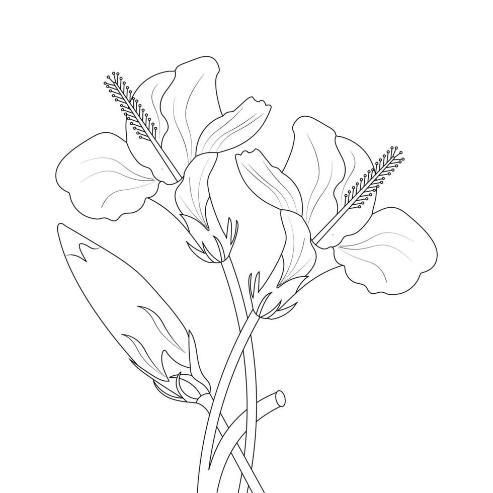 Hibiscus Flower Coloring Page And Book illustration Line Art vector
