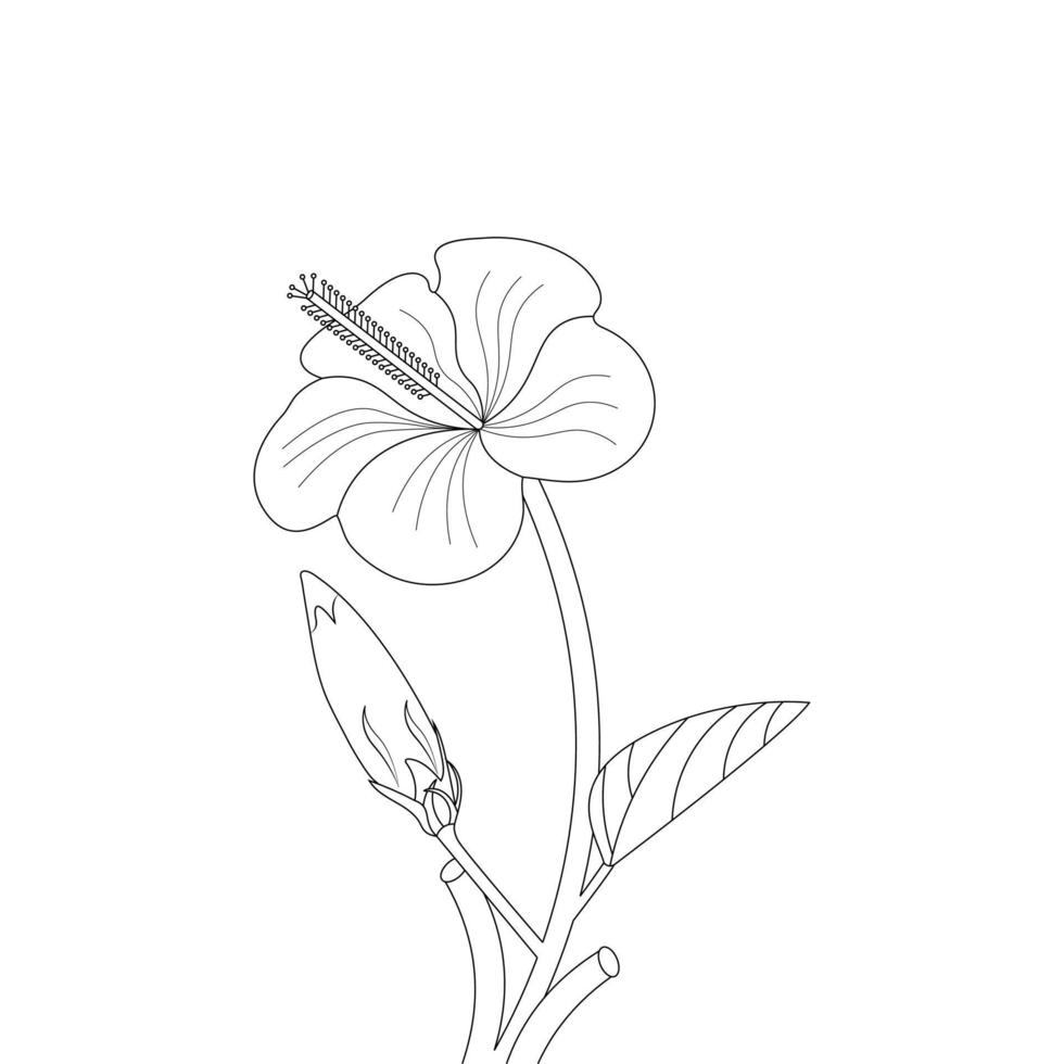 Hibiscus Flower Coloring Page And Book illustration Line Art vector