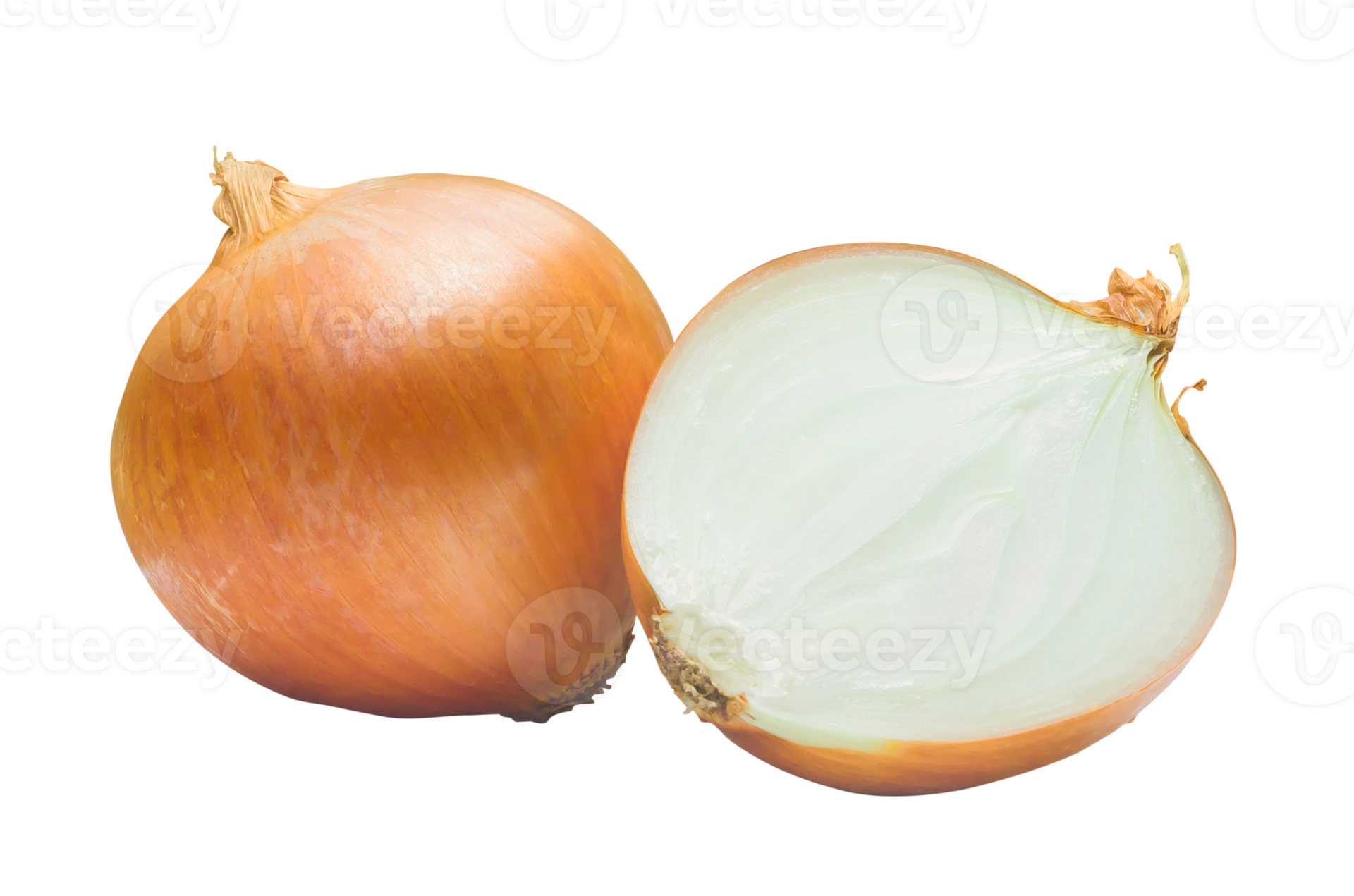 One Fresh Golden Onion Bulb With Half Or Slice Isolated With Clipping One Fresh Golden Onion Bulb With Half Or Slice Isolated With Clipping Path In File Format Concept Of Healthy Vegetable Or Food Png