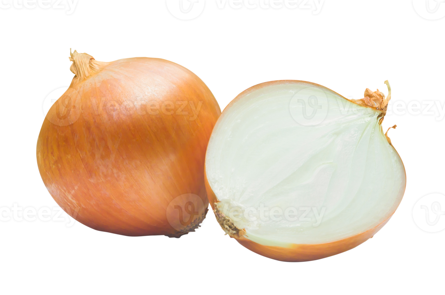 One fresh golden onion bulb with half or slice isolated with clipping path in png file format, Concept of healthy vegetable or food