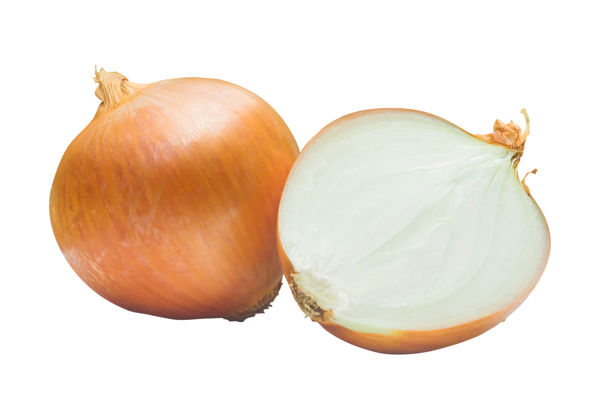 Onion Half cut-tool-bambu-lab-wiki