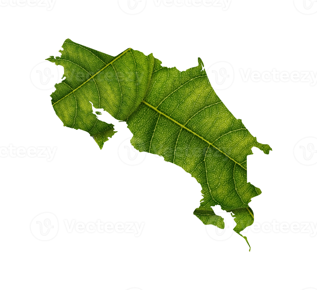 Costa Rica map made of green leaves on soil ecology concept png