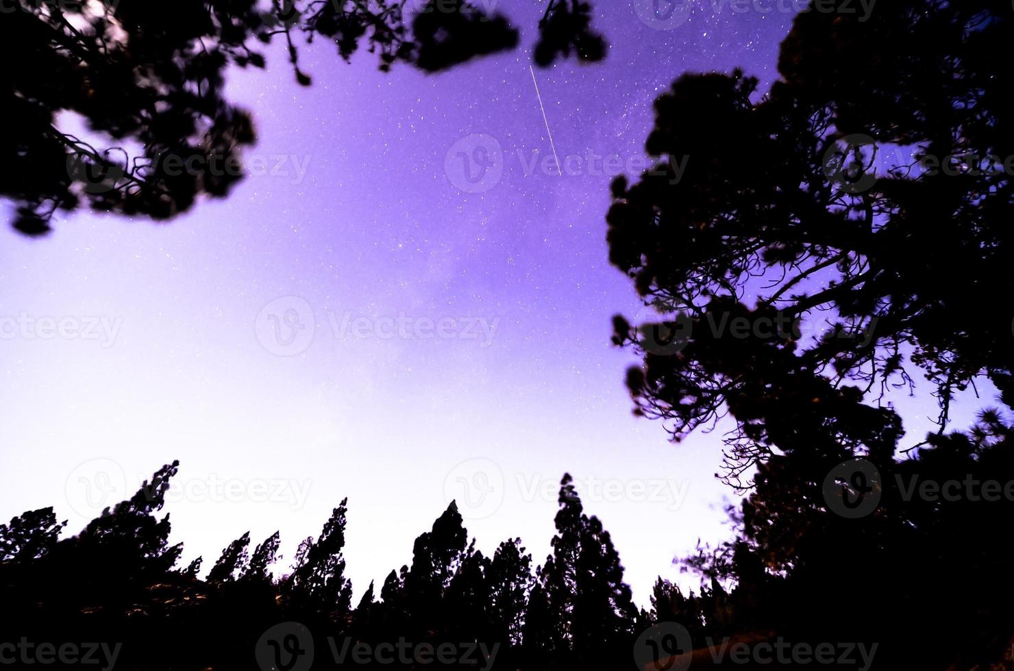 Starry sky at night photo
