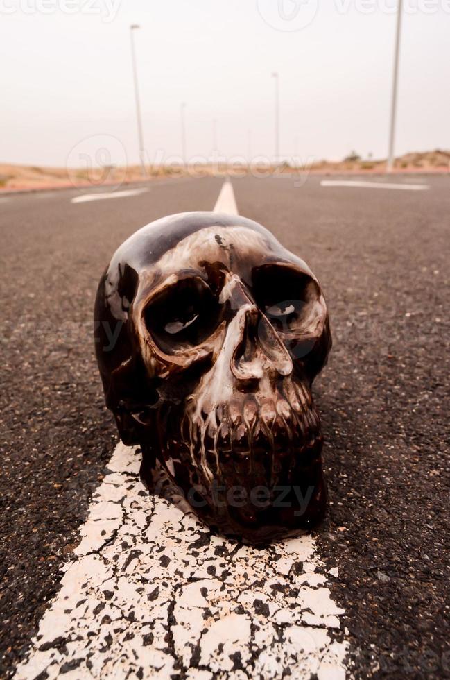 Skull on the road photo