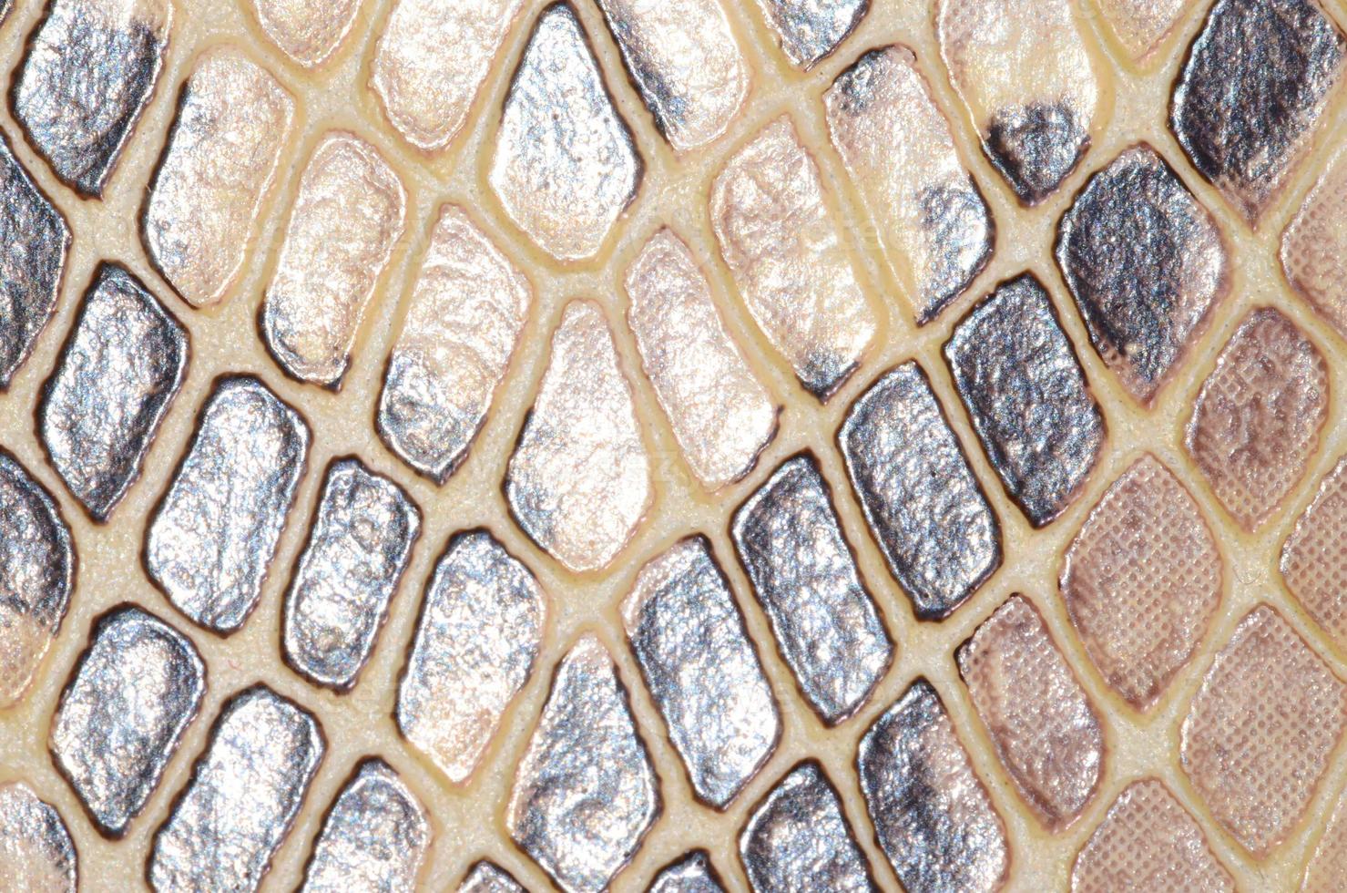 Reptile scales pattern photo