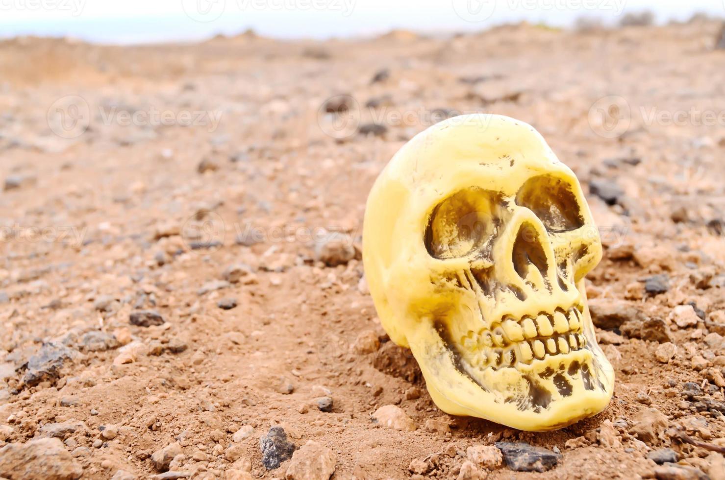 Plastic skull in the desert photo