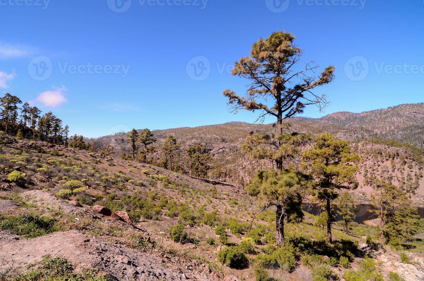 vista panorámica de la montaña foto