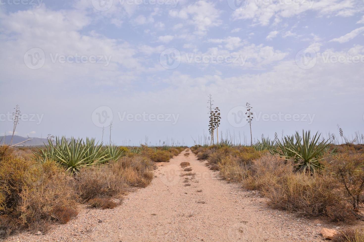 Scenic road view photo