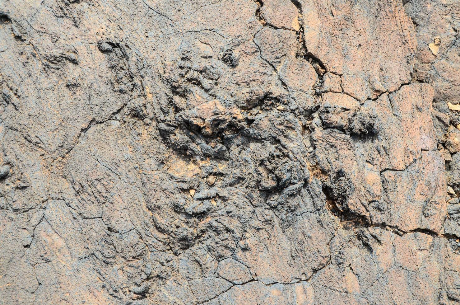 Rocky landscape surface photo