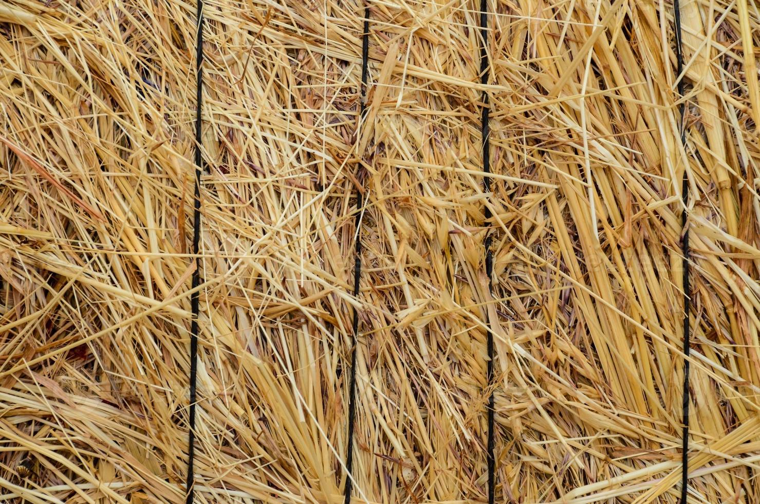 Bales of hay photo